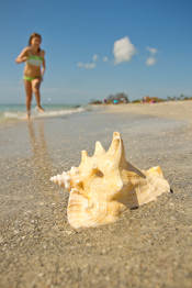 FInd Reputable Debt Consolidation Companies - Not a Stroll on the Beach